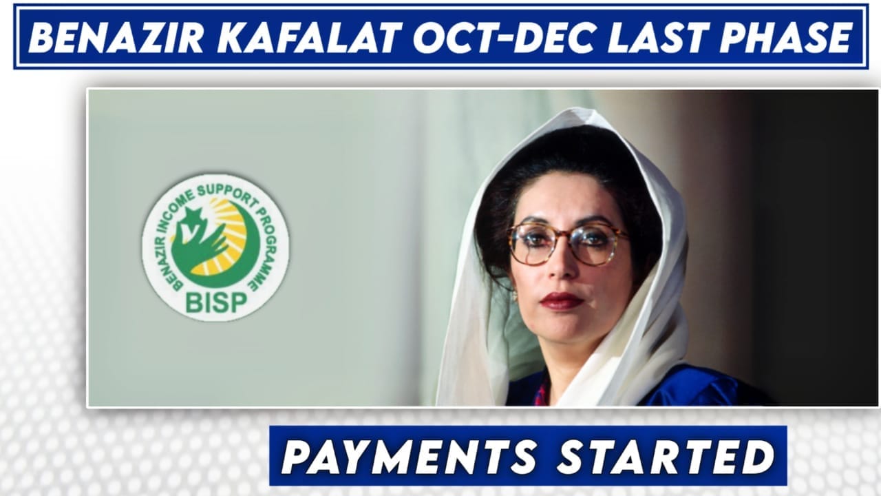 Application Status CM Punjab Free Solar Panel Scheme 2025